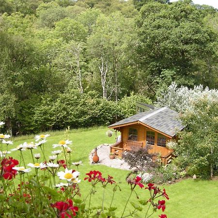 Tanglewood Lodge Taynuilt Zewnętrze zdjęcie
