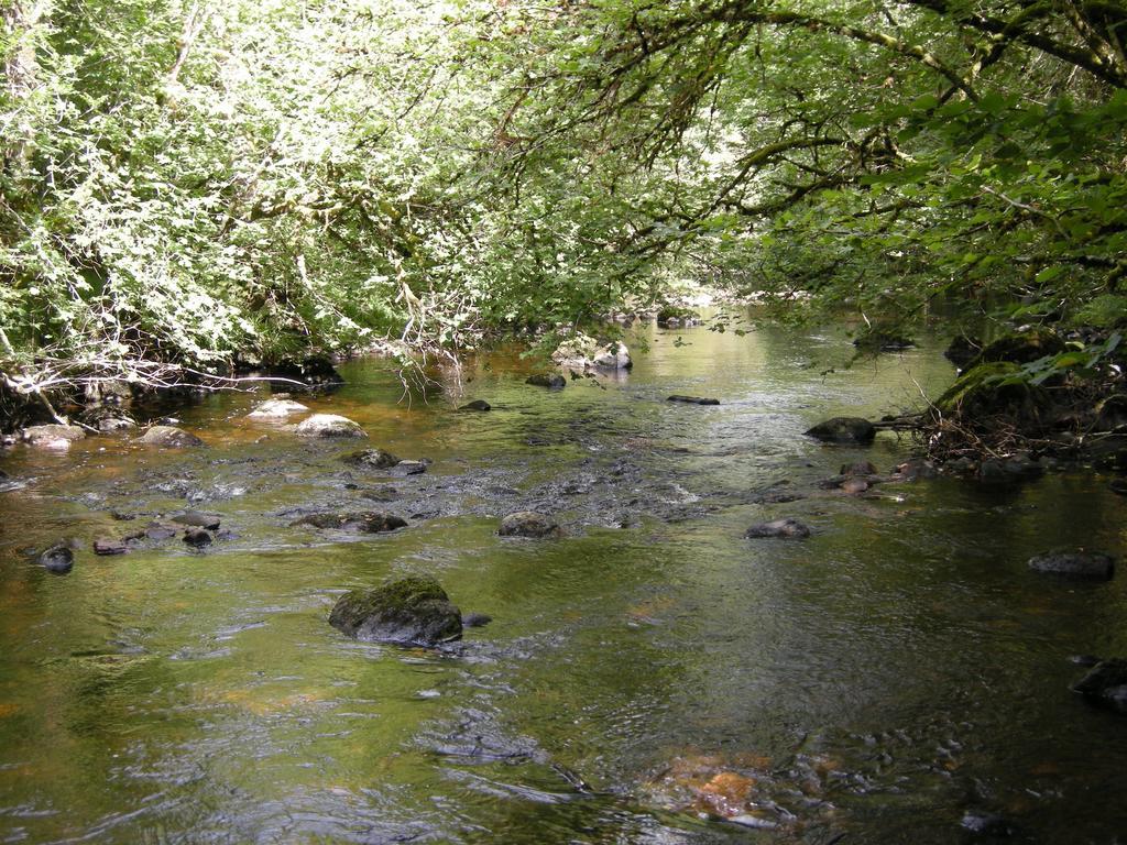 Tanglewood Lodge Taynuilt Zewnętrze zdjęcie