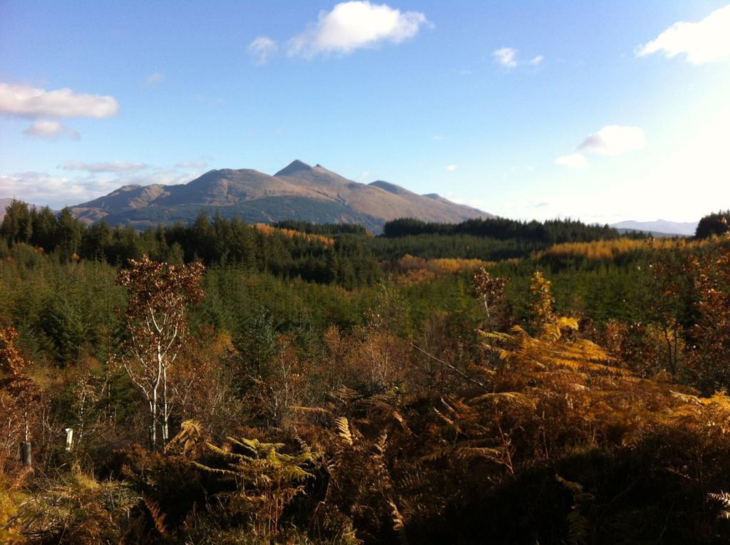 Tanglewood Lodge Taynuilt Zewnętrze zdjęcie
